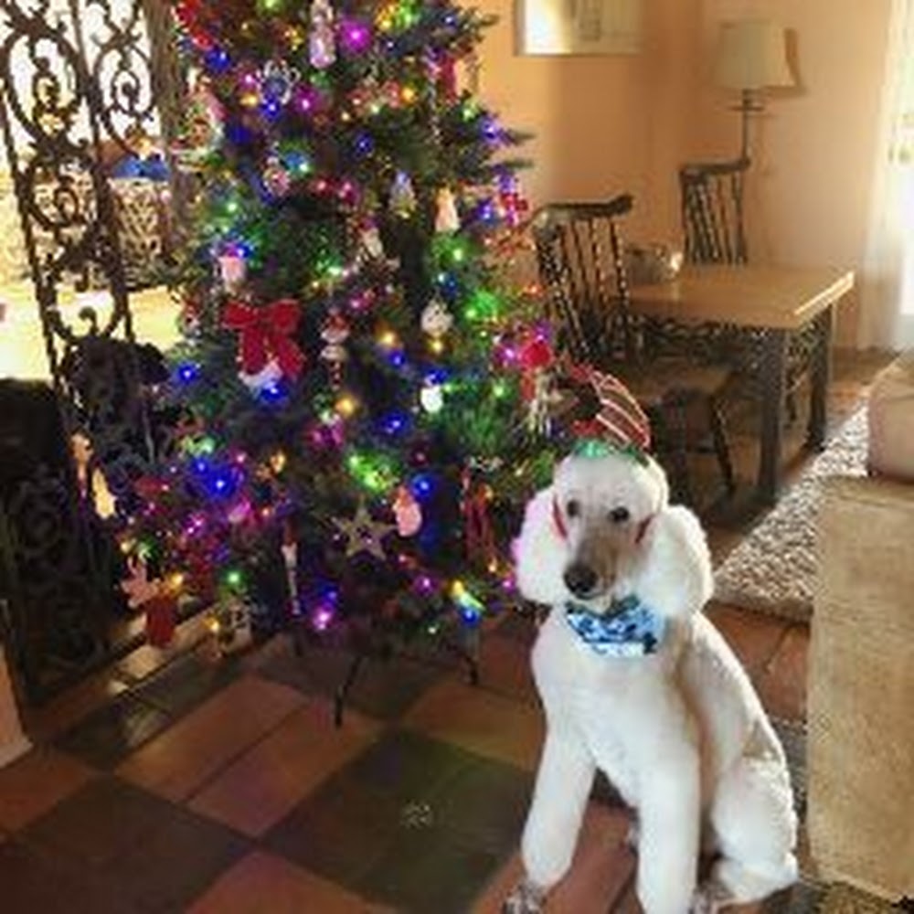 Meet your Posher, Susan